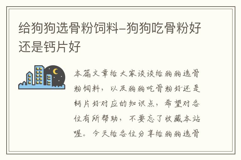 给狗狗选骨粉饲料-狗狗吃骨粉好还是钙片好