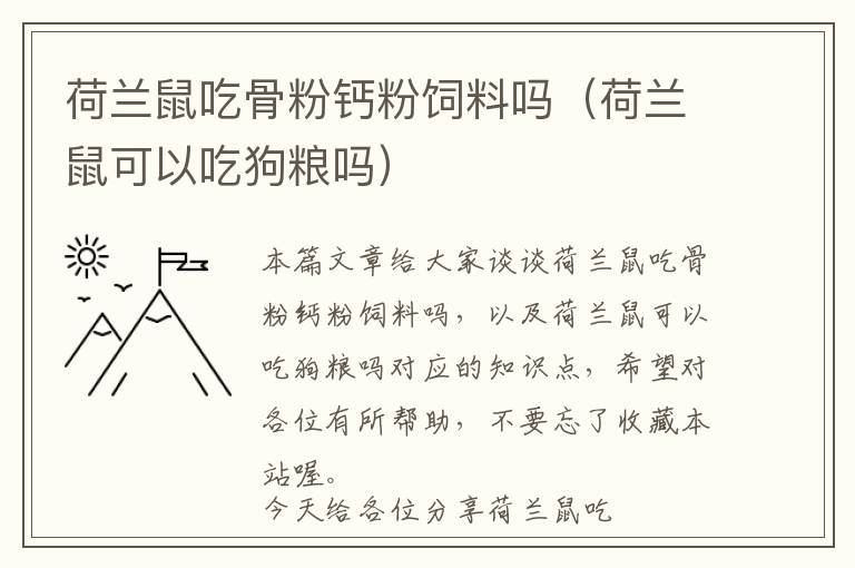 荷兰鼠吃骨粉钙粉饲料吗（荷兰鼠可以吃狗粮吗）