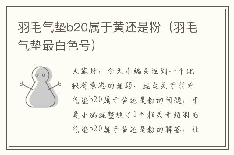 羽毛气垫b20属于黄还是粉（羽毛气垫最白色号）