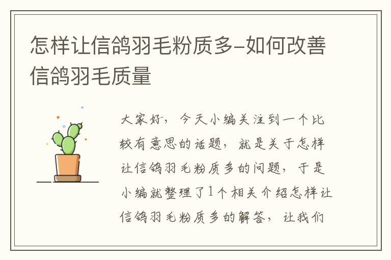 怎样让信鸽羽毛粉质多-如何改善信鸽羽毛质量