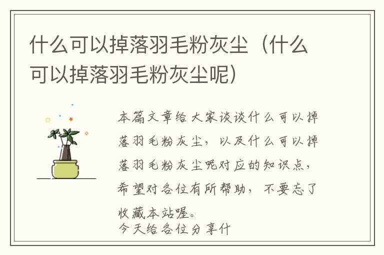 什么可以掉落羽毛粉灰尘（什么可以掉落羽毛粉灰尘呢）