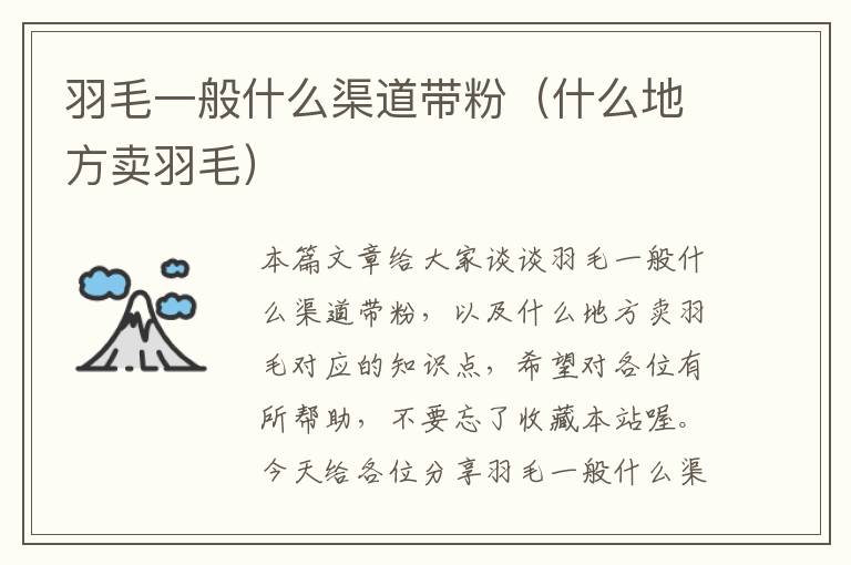 羽毛一般什么渠道带粉（什么地方卖羽毛）