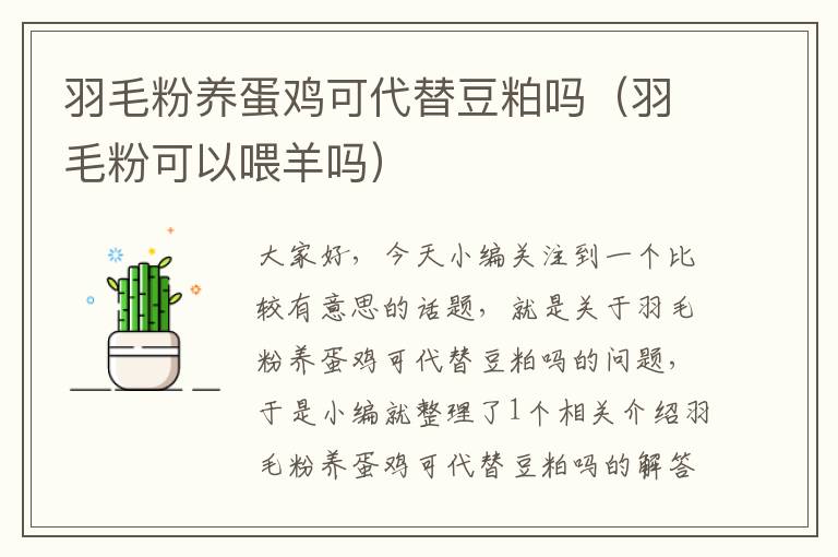 羽毛粉养蛋鸡可代替豆粕吗（羽毛粉可以喂羊吗）