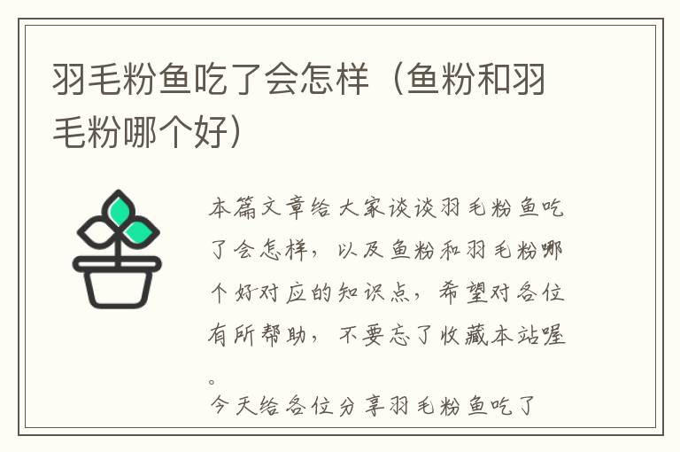 羽毛粉鱼吃了会怎样（鱼粉和羽毛粉哪个好）