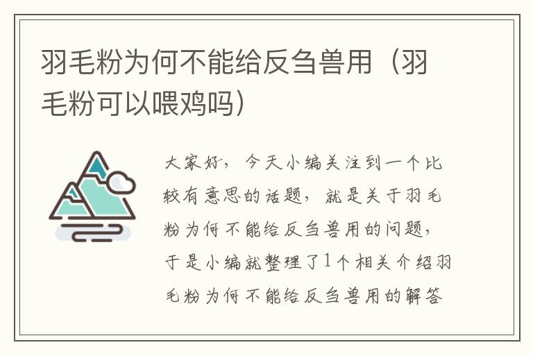 羽毛粉为何不能给反刍兽用（羽毛粉可以喂鸡吗）