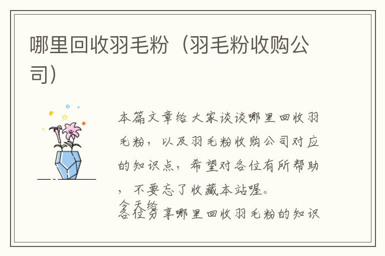 哪里回收羽毛粉（羽毛粉收购公司）