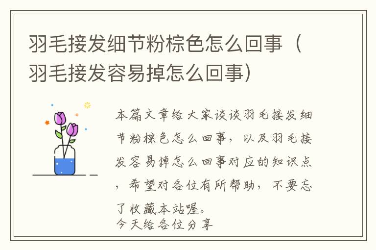 羽毛接发细节粉棕色怎么回事（羽毛接发容易掉怎么回事）