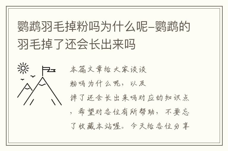 鹦鹉羽毛掉粉吗为什么呢-鹦鹉的羽毛掉了还会长出来吗