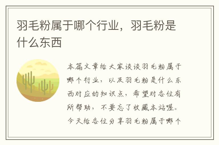 羽毛粉属于哪个行业，羽毛粉是什么东西