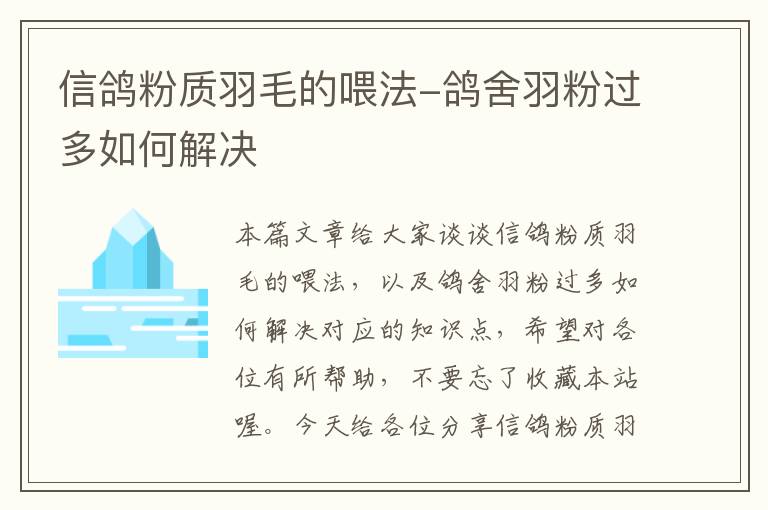 信鸽粉质羽毛的喂法-鸽舍羽粉过多如何解决