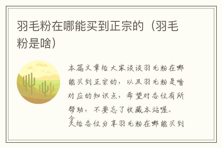 羽毛粉在哪能买到正宗的（羽毛粉是啥）