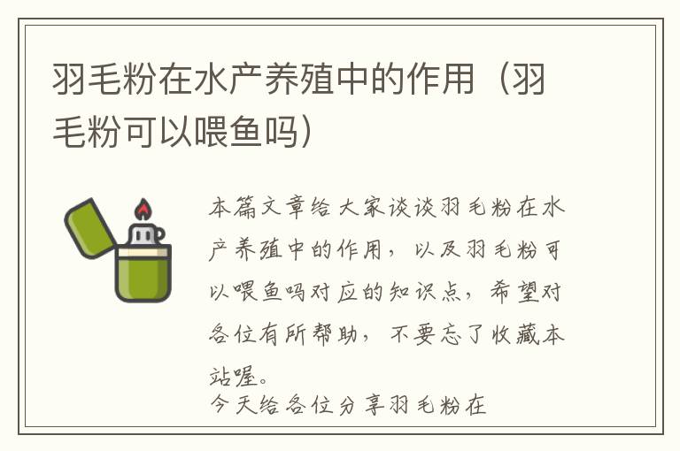 羽毛粉在水产养殖中的作用（羽毛粉可以喂鱼吗）