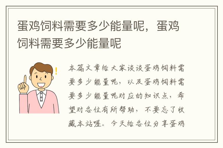 蛋鸡饲料需要多少能量呢，蛋鸡饲料需要多少能量呢