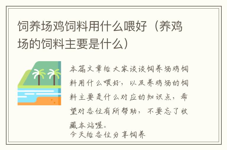 饲养场鸡饲料用什么喂好（养鸡场的饲料主要是什么）