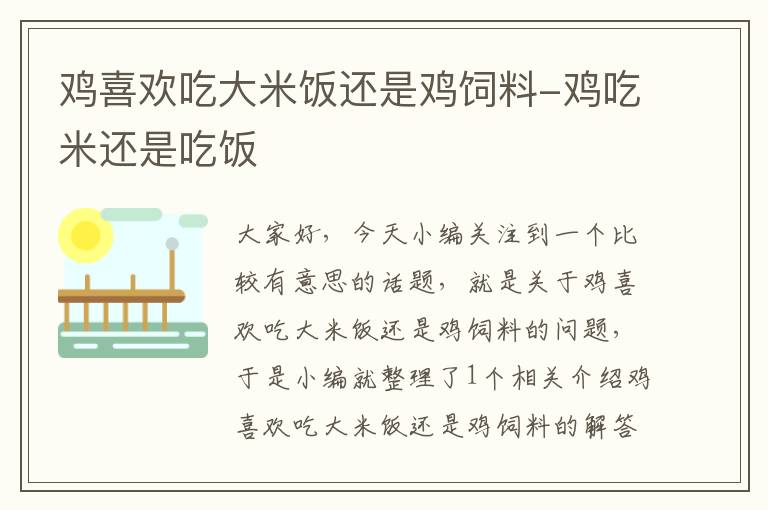 鸡喜欢吃大米饭还是鸡饲料-鸡吃米还是吃饭