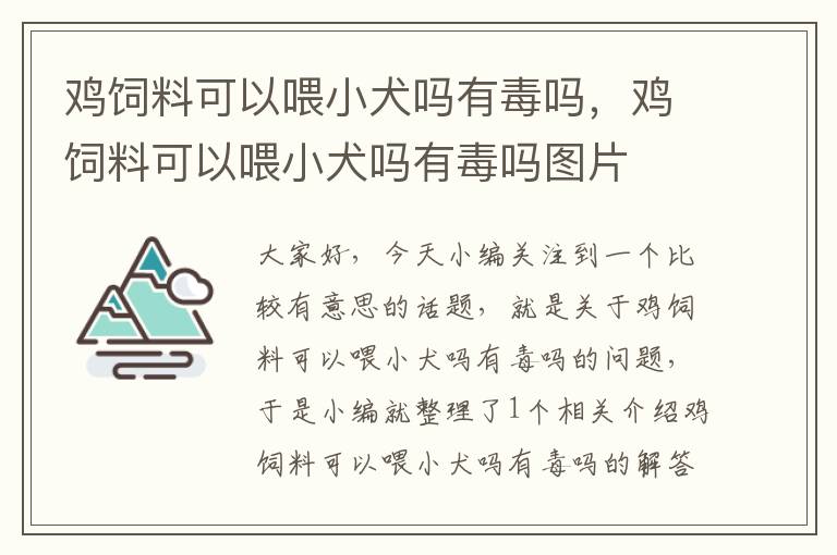 鸡饲料可以喂小犬吗有毒吗，鸡饲料可以喂小犬吗有毒吗图片