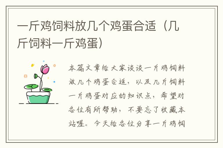 一斤鸡饲料放几个鸡蛋合适（几斤饲料一斤鸡蛋）