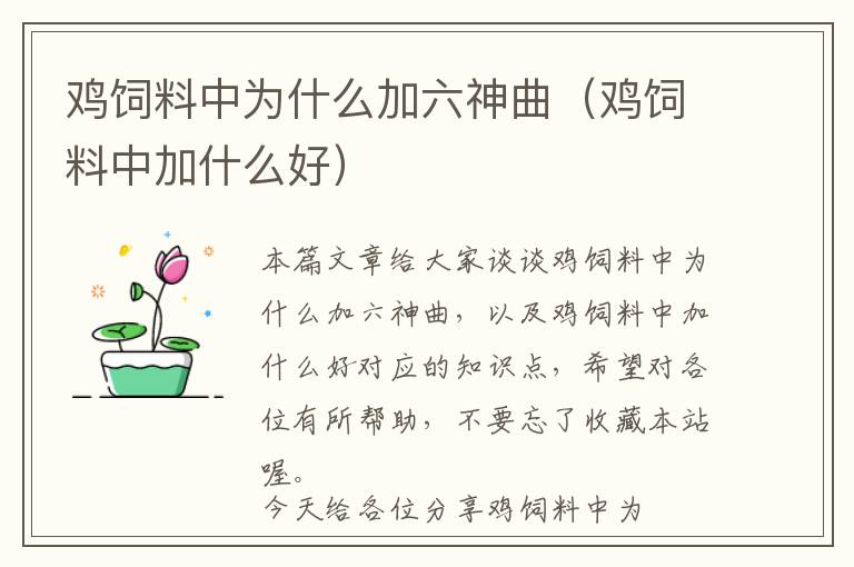 鸡饲料中为什么加六神曲（鸡饲料中加什么好）