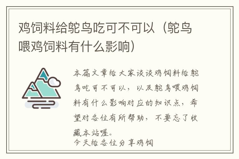 鸡饲料给鸵鸟吃可不可以（鸵鸟喂鸡饲料有什么影响）