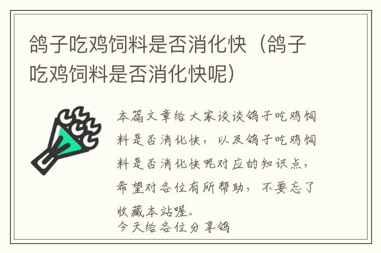 鸽子吃鸡饲料是否消化快（鸽子吃鸡饲料是否消化快呢）