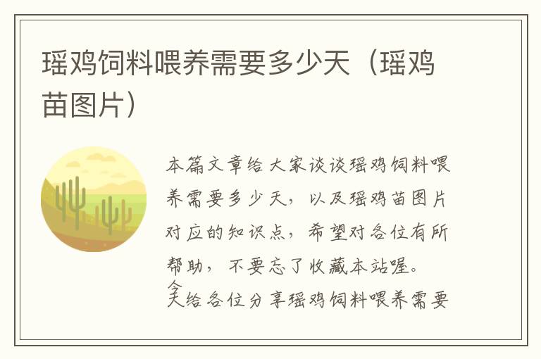 瑶鸡饲料喂养需要多少天（瑶鸡苗图片）