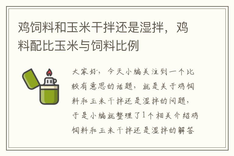 鸡饲料和玉米干拌还是湿拌，鸡料配比玉米与饲料比例