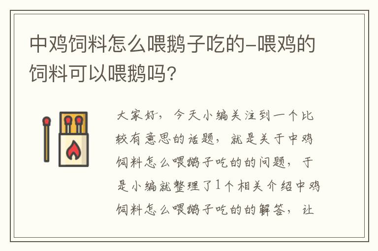 中鸡饲料怎么喂鹅子吃的-喂鸡的饲料可以喂鹅吗?