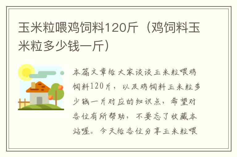 玉米粒喂鸡饲料120斤（鸡饲料玉米粒多少钱一斤）