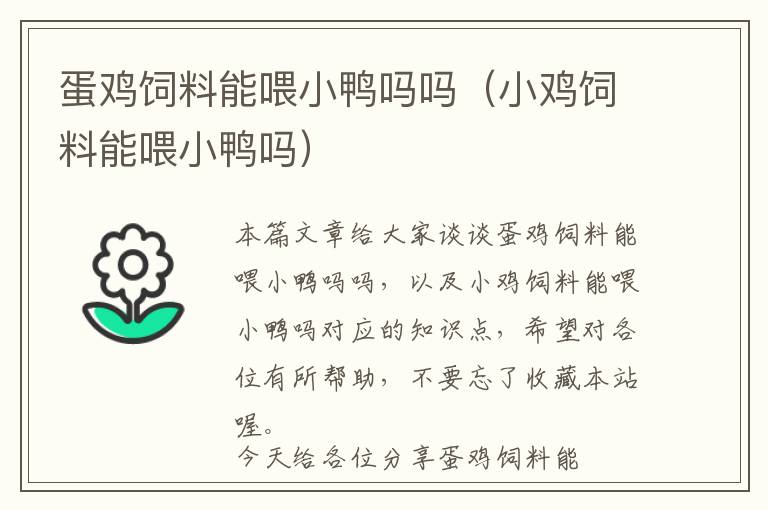 蛋鸡饲料能喂小鸭吗吗（小鸡饲料能喂小鸭吗）