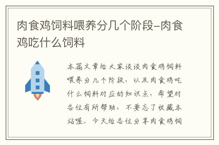 肉食鸡饲料喂养分几个阶段-肉食鸡吃什么饲料