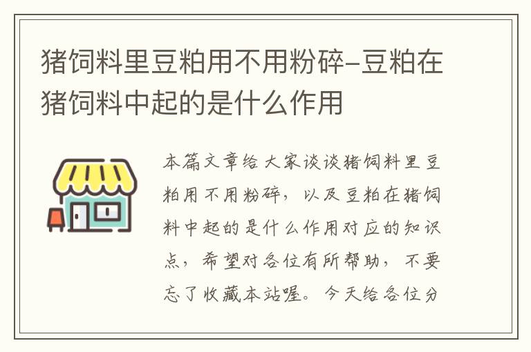 猪饲料里豆粕用不用粉碎-豆粕在猪饲料中起的是什么作用