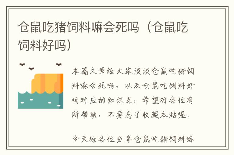 仓鼠吃猪饲料嘛会死吗（仓鼠吃饲料好吗）