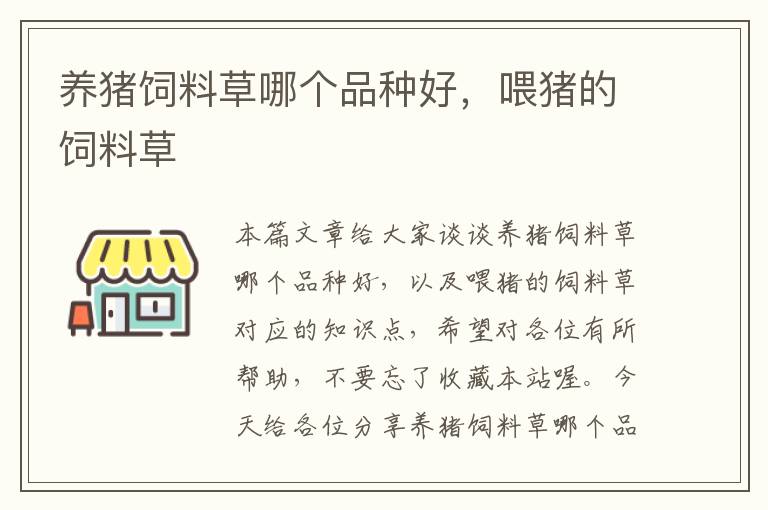 养猪饲料草哪个品种好，喂猪的饲料草