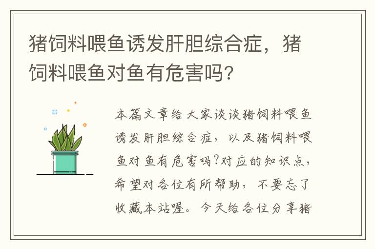 猪饲料喂鱼诱发肝胆综合症，猪饲料喂鱼对鱼有危害吗?