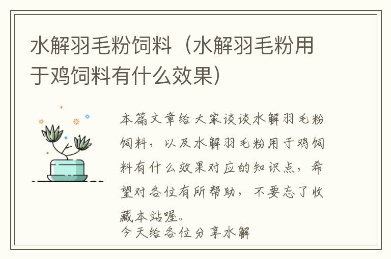 水解羽毛粉饲料（水解羽毛粉用于鸡饲料有什么效果）