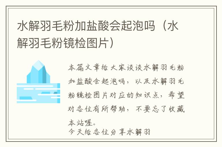 水解羽毛粉加盐酸会起泡吗（水解羽毛粉镜检图片）