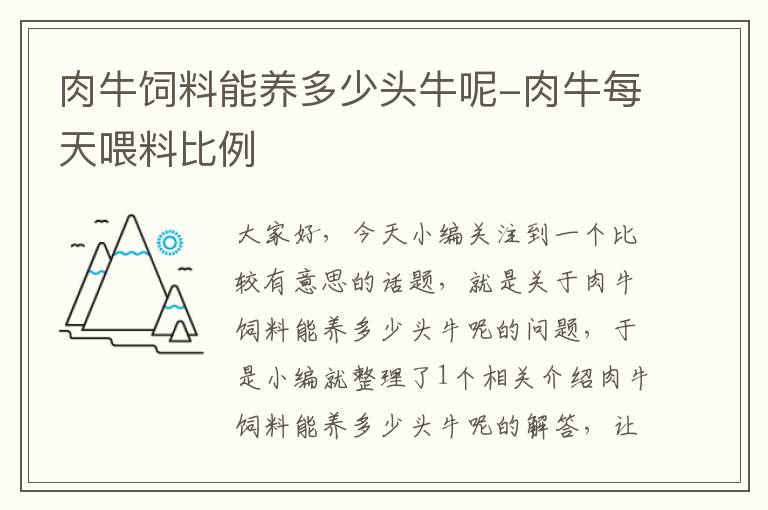 肉牛饲料能养多少头牛呢-肉牛每天喂料比例