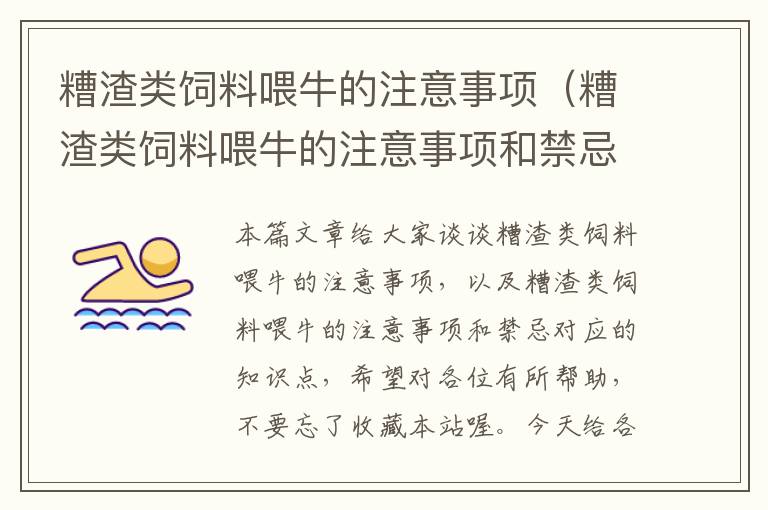 糟渣类饲料喂牛的注意事项（糟渣类饲料喂牛的注意事项和禁忌）