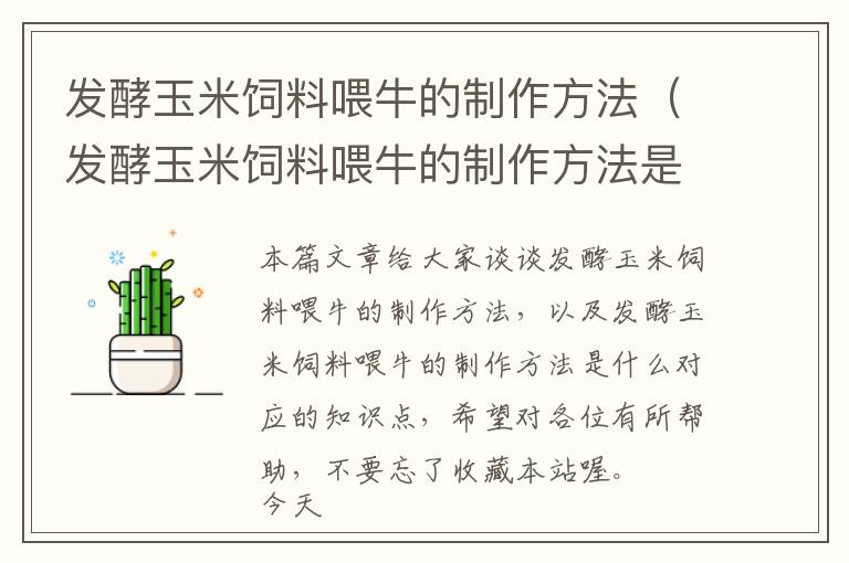 发酵玉米饲料喂牛的制作方法（发酵玉米饲料喂牛的制作方法是什么）