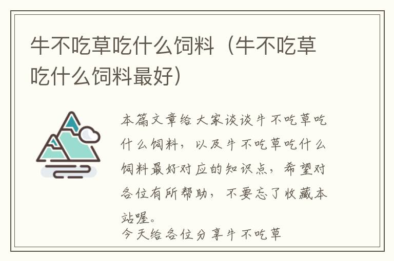 牛不吃草吃什么饲料（牛不吃草吃什么饲料最好）