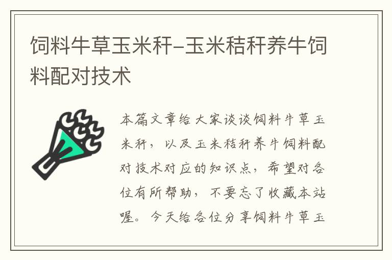 饲料牛草玉米秆-玉米秸秆养牛饲料配对技术