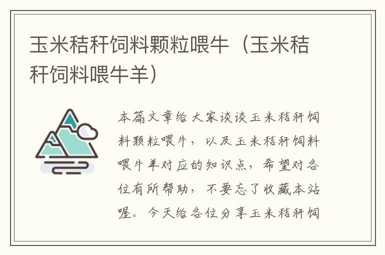 玉米秸秆饲料颗粒喂牛（玉米秸秆饲料喂牛羊）