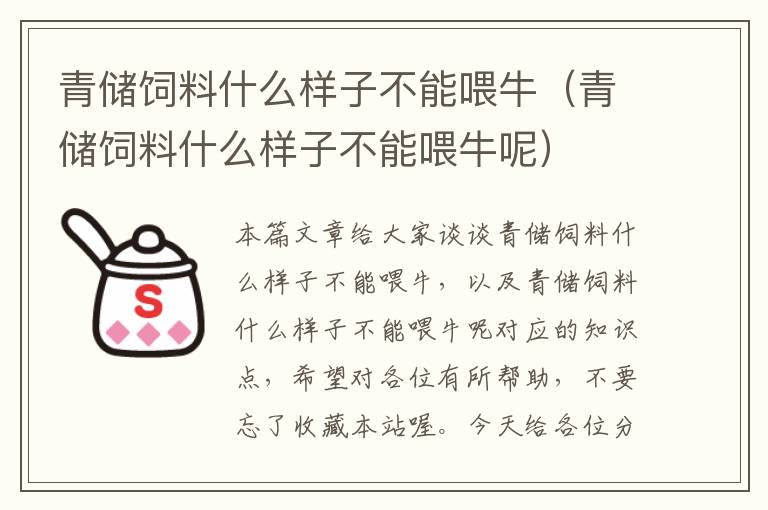 青储饲料什么样子不能喂牛（青储饲料什么样子不能喂牛呢）