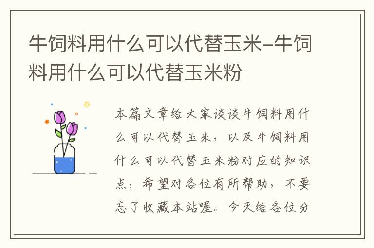 牛饲料用什么可以代替玉米-牛饲料用什么可以代替玉米粉