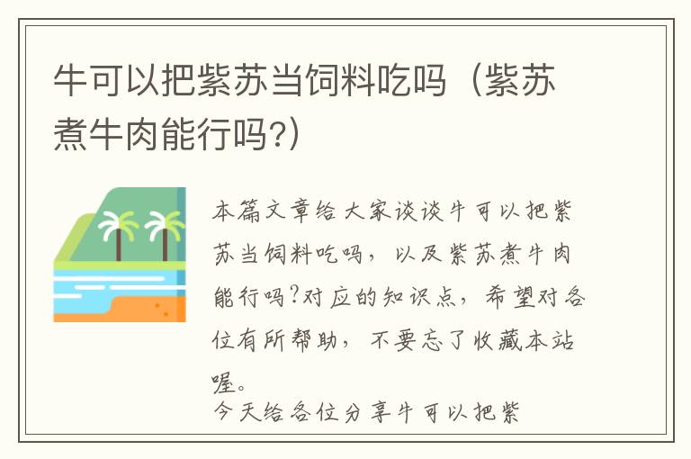 牛可以把紫苏当饲料吃吗（紫苏煮牛肉能行吗?）