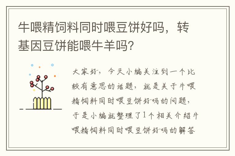 牛喂精饲料同时喂豆饼好吗，转基因豆饼能喂牛羊吗？