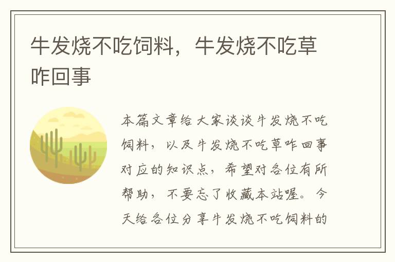 牛发烧不吃饲料，牛发烧不吃草咋回事