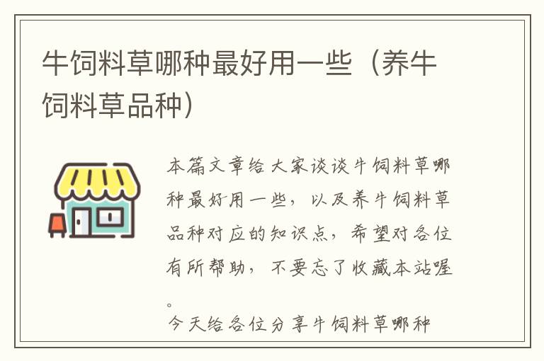 牛饲料草哪种最好用一些（养牛饲料草品种）