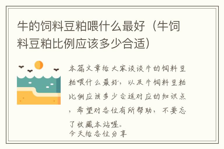 牛的饲料豆粕喂什么最好（牛饲料豆粕比例应该多少合适）