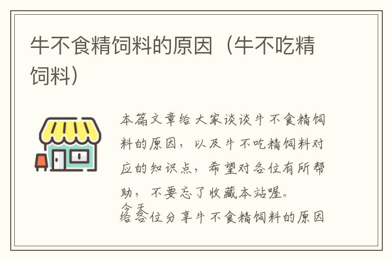 牛不食精饲料的原因（牛不吃精饲料）